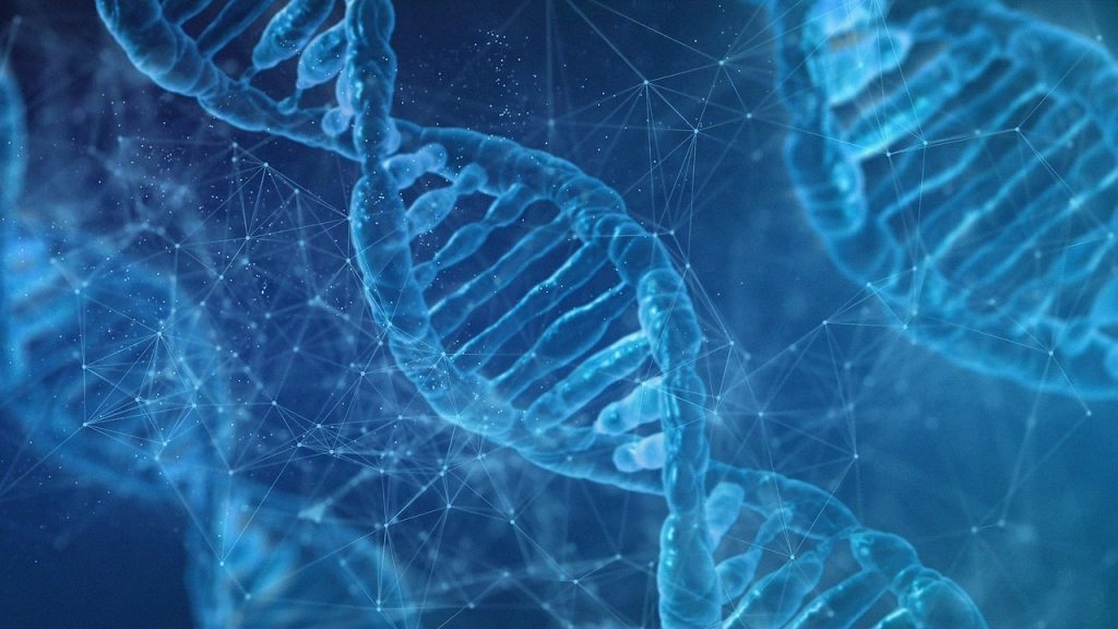 Descubre la genética del sueño.